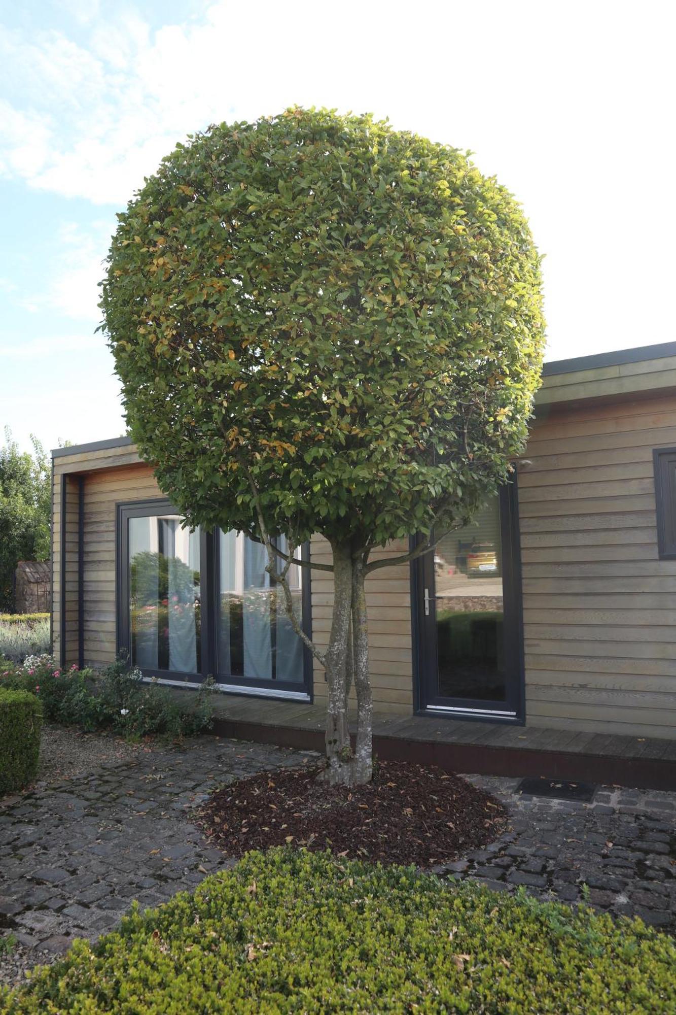 Tinyhouse Apartamento Perl Exterior foto